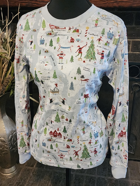 Pottery Barn Other - Holiday Scenic Long-Sleeve Tee - Light Gray with Festive Print